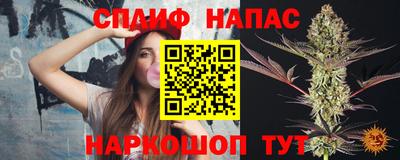 ешки Новодвинск