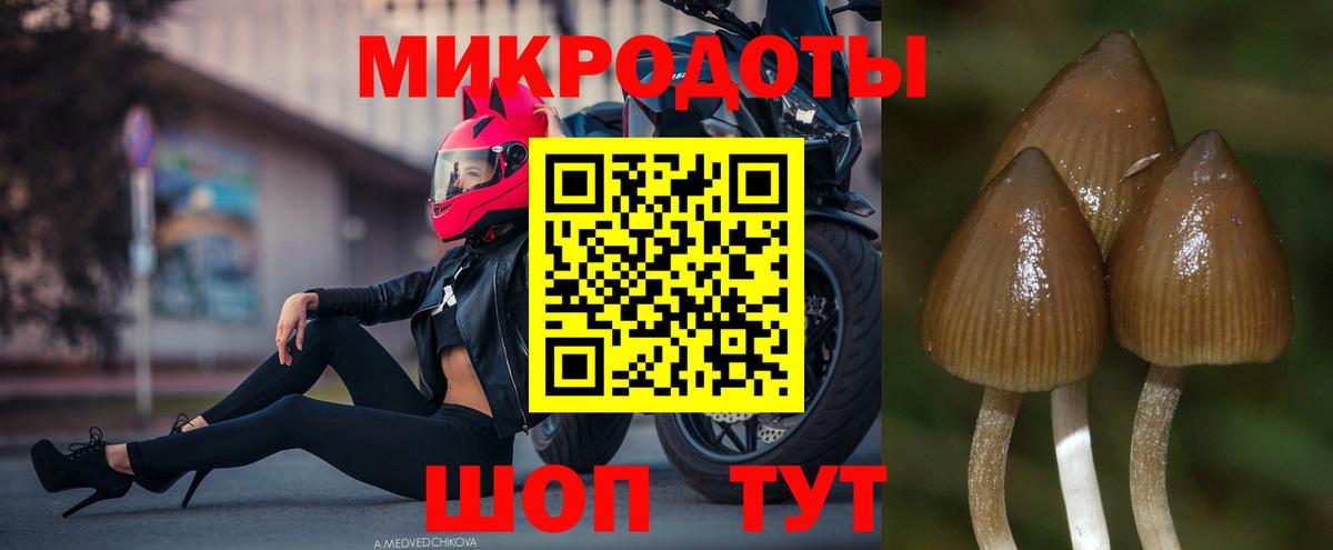 Галлюциногенные грибы ЛСД Сочи